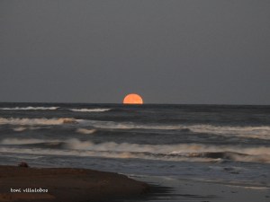 Súperlluna al Delta.