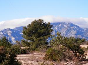Observatori de l'Ebre