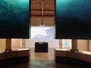 Museu de la Mar de l'Ebre