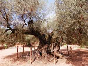 La Farga de l'Arion. enjoyingdelta.com