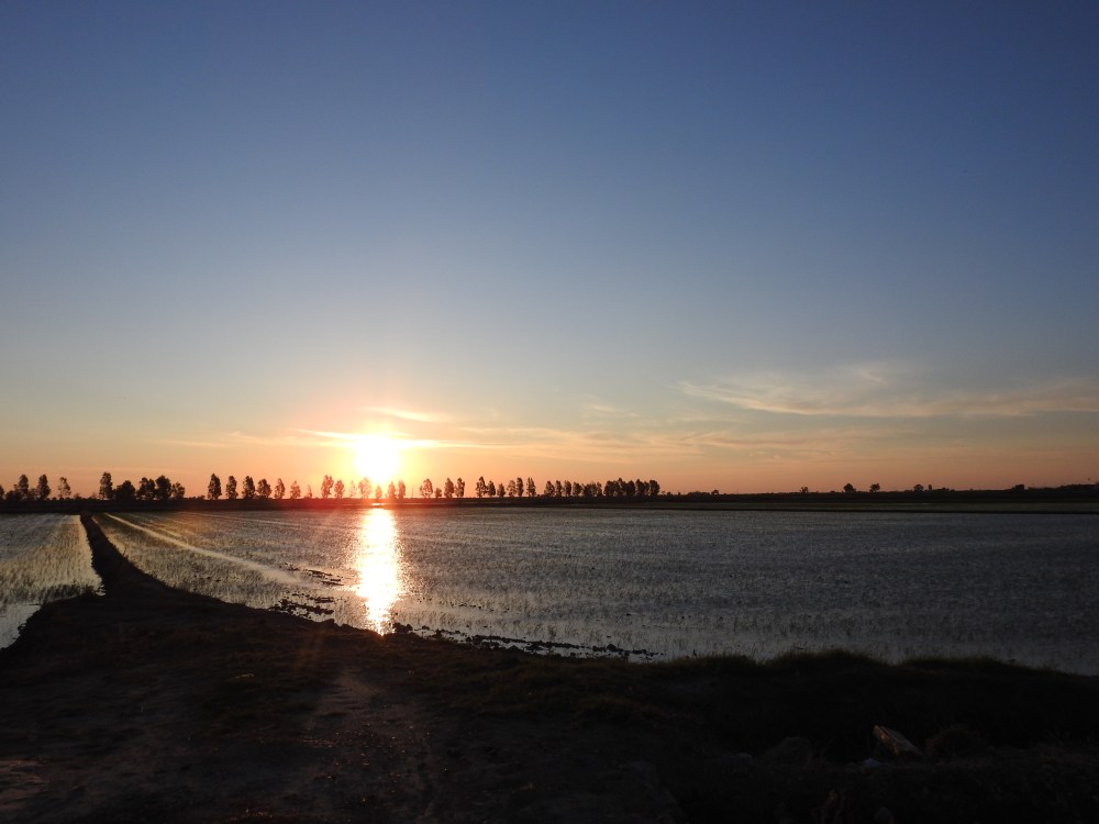 Delta de l'Ebre, turisme sostenible