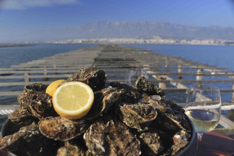 Ostres a la badia dels Alfacs