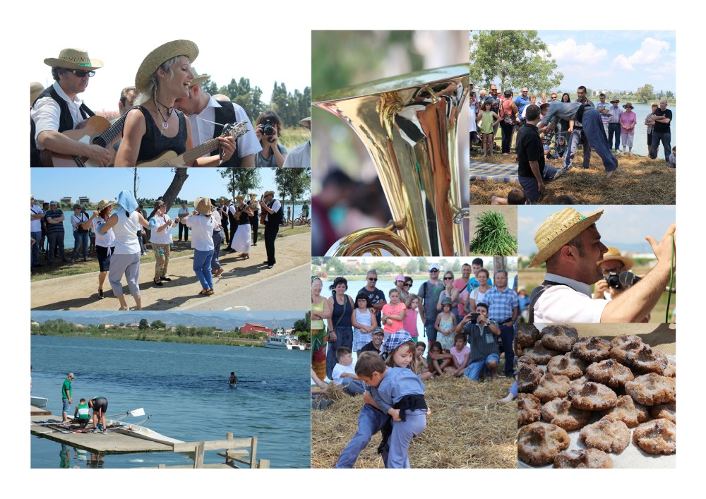 Festes de l'arròs. La Plantada. Delta de l'Ebre
